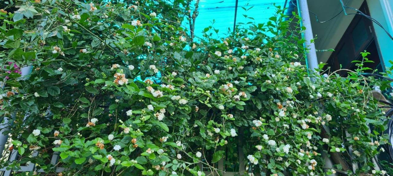 Nha Nghi Bolero Daire Van Lam Dış mekan fotoğraf