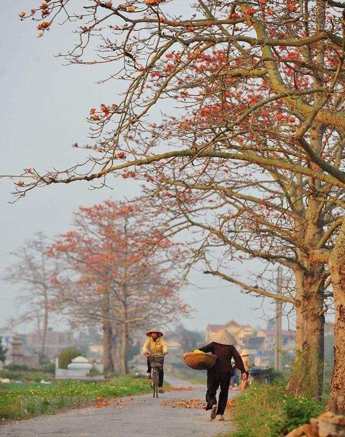 Nha Nghi Bolero Daire Van Lam Dış mekan fotoğraf